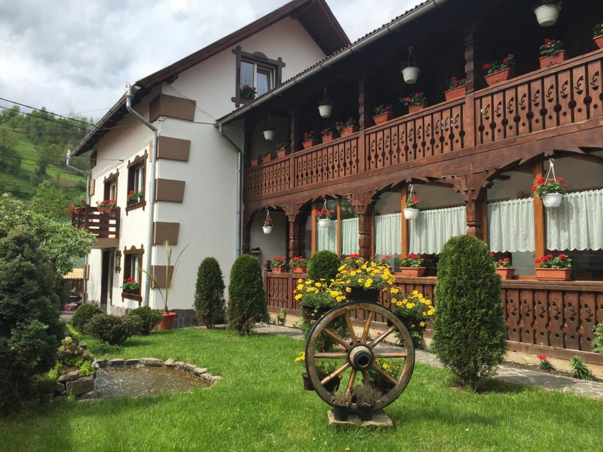 Pensiunea Cretuca Botiza Dış mekan fotoğraf
