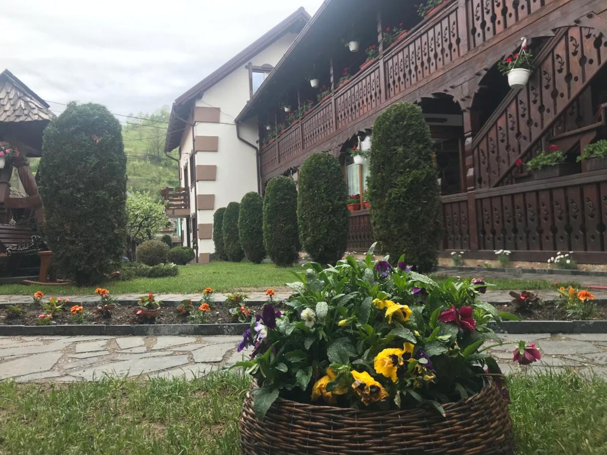 Pensiunea Cretuca Botiza Dış mekan fotoğraf