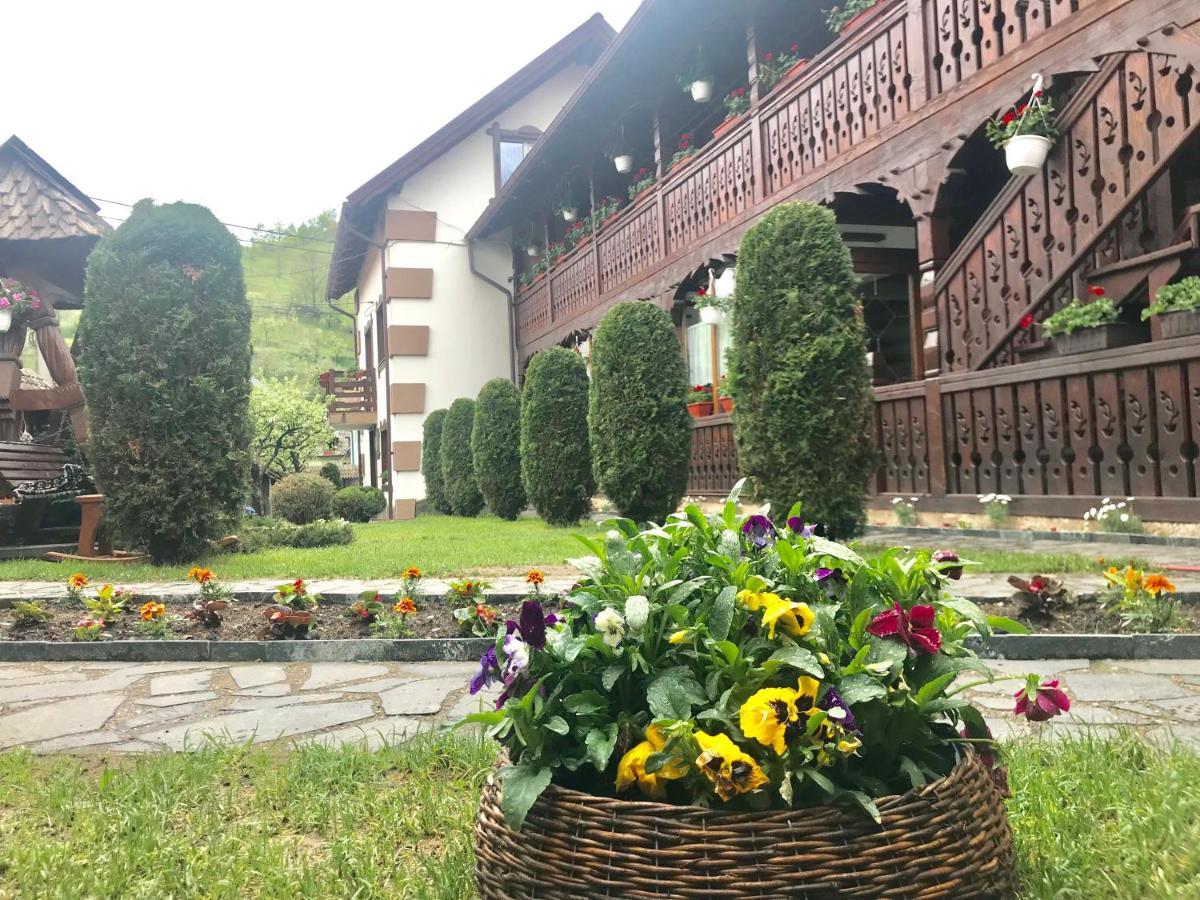 Pensiunea Cretuca Botiza Dış mekan fotoğraf